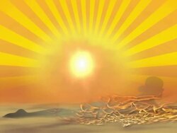 Sun Bath Stock Footage