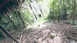 Zip line Adventure Stock Footage