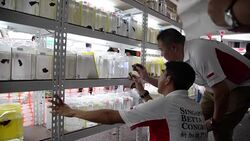 CLEAN : Fish beauty pageant in Singapore News Clip