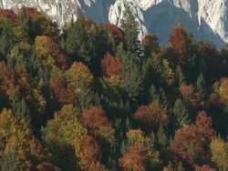 Autumn mountain landscapes Stock Footage