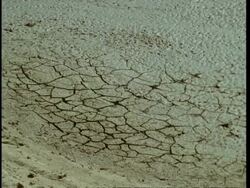 CU cracked earth of dried up lake, Gujarat, India Stock Footage