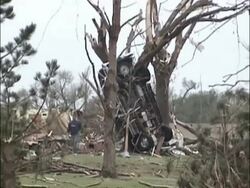 MS Tornado Damage - man walks away from wrecked car leaning upright against tree, fallen & damaged trees in foreground, USA Stock Footage