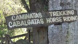 CLEAN : Salta trial for the murder of two French w News Clip