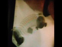 SYND 16-9-73 SPRING DEMONSTRATION  IN SPACE News Clip