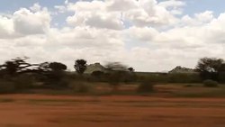 Driving Shot, African Savannah Plains, Nairobi News Clip