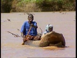 Somalia - Aftermath of severe flooding News Clip