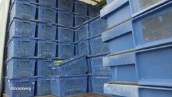 How Brexit Could Make Food Prices Skyrocket News Clip