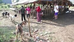 Muslims Celebrate Eid Al-Adha In Indonesia Stock Footage