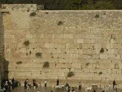 Western Wall in Jerusalem Stock Footage