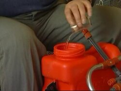 Villages in bird flu zone start disinfecting fowl houses News Clip