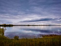 Evening pond Stock Footage