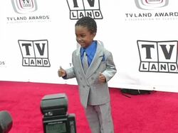 3rd Annual TV Land Awards Arrivals Stock Footage