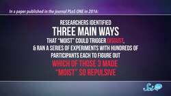 Why We Hate the Word 'Moist' Instructional Video