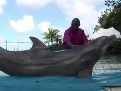 Dr John Sentamu meets Mitch the Dolphin Stock Footage