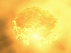 Tree of life growing Stock Footage