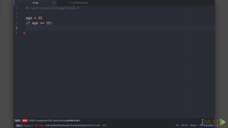 Beginning Python (Video 17) Instructional Video