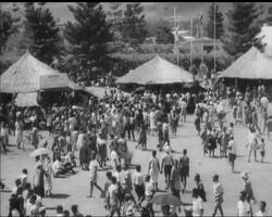 THE TRIBES GATHER News Clip