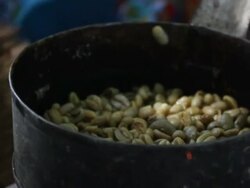 Woman fanning fire to roast coffee grains during coffee ceremony Stock Footage