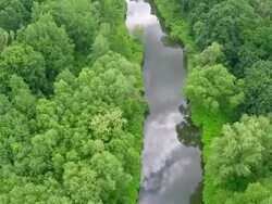 River and forest - Stock Footage (aerial) Stock Footage