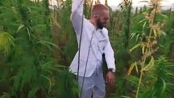 Man and cannabis. Slow motion Stock Footage