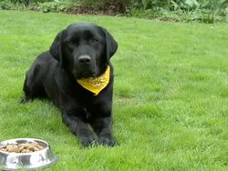 HD DOLLY: Waiting patiently Stock Footage