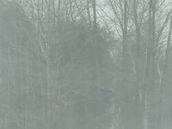 MS ZO Snow storm with window / Tweed, Ontaria, Canada Stock Footage