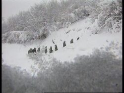 Bosnia - Bosnian Army Withdrawal News Clip