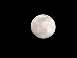 Full moon. Stock Footage