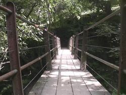 Rope bridge Stock Footage