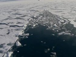 WS POV View of floating icebergs near Isfjorden / Svalbard, Spitsbergen, Norway Stock Footage
