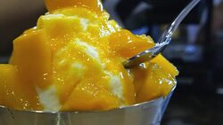 Ice cream Mango Stock Footage