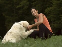 HD DOLLY: Young Woman Feeding Her Dog Stock Footage