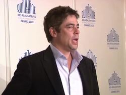 Benicio Del Toro at the Stones in Exile Photocall: Cannes Film Festival Stock Footage