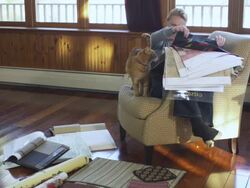 WS Women looking at fabric swatches  / Rutland,Vermont, USA Stock Footage