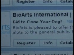 A chance to get your favourite pet cloned News Clip