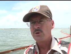 Scientists say that gulf coast animals taken in by rescuers including birds appear more resilient than first feared. AP's Rich Matthews reports from Baratarria Bay, La.         (Aug. 19) News Clip