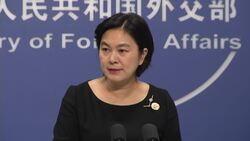 DAILY MOFA BRIEFING Instructional Video