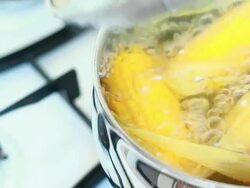 Boiling corn cob in a pot Stock Footage