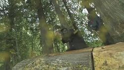 HD Super Slow-Mo: Executives Team Attacking The Enemy Stock Footage