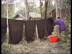 CAMBODIA: CAMPAIGN AGAINST MALARIA News Clip