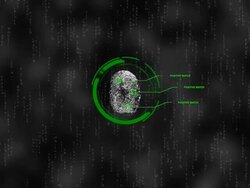 Wanted person - HD Stock Footage