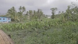 CLEAN : Fiji cleans up after strongest ever cyclone News Clip