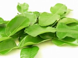 Close up of rotating  Kaffir lime leaves Stock Footage