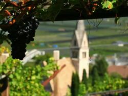 HD Vineyard above old town tracking shot Stock Footage