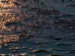 Water comes Stock Footage