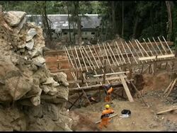 Biodiversity restored in reforestation programme after landslides News Clip