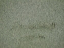 CU TU Alexander the Great bust / Alexandria, Egypt Stock Footage