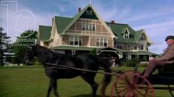 A horse-drawn buggy outside a country home in the countryside, 1908 - reenactment, clip 2 Stock Footage