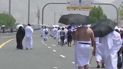 CLEAN : Pilgrims throng Mount Arafat for peak of hajj News Clip