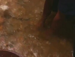 Looking for Gold Stock Footage